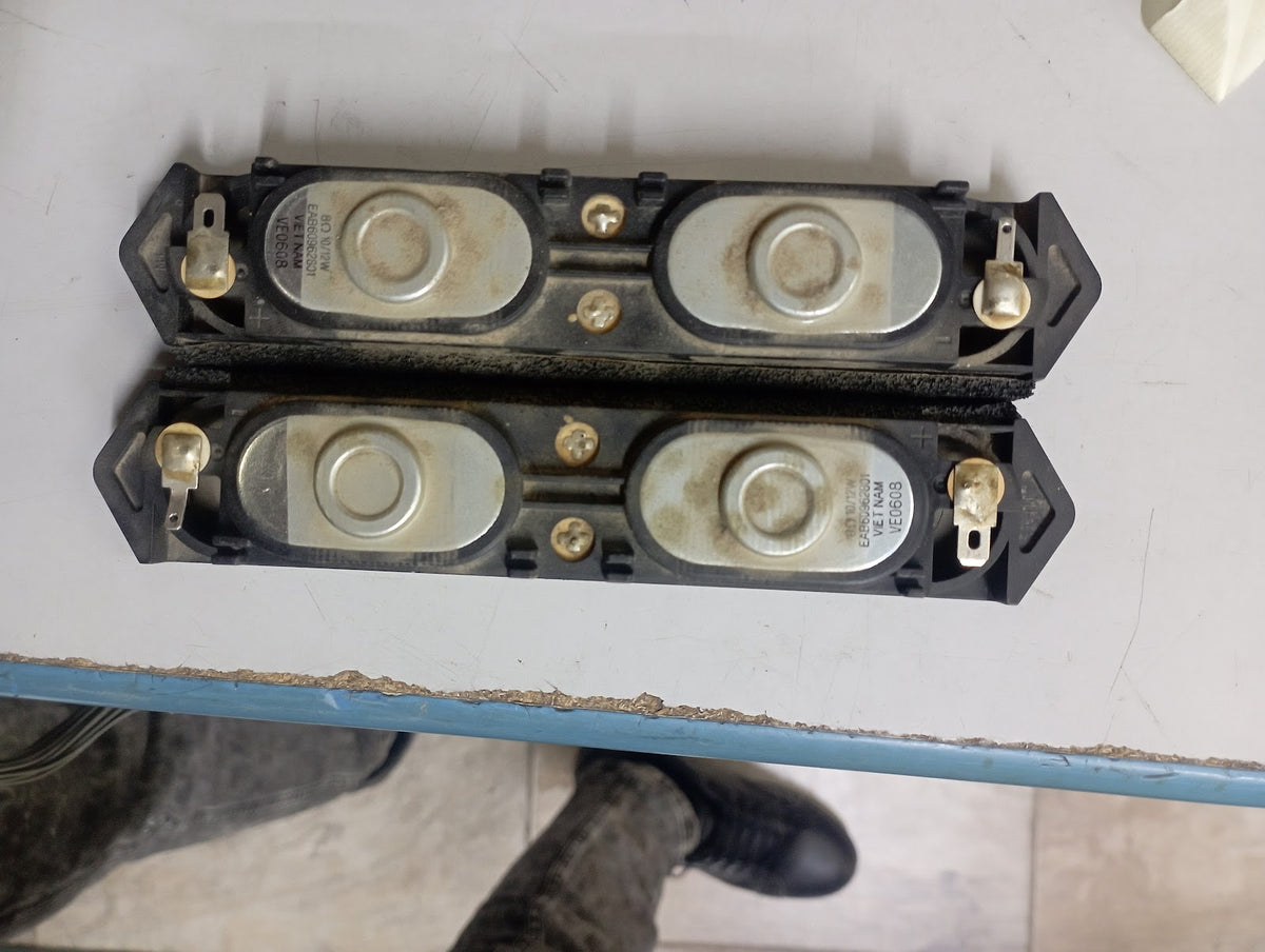 Coppia altoparlanti EAB60962801 LG 50PJ350-ZA retro