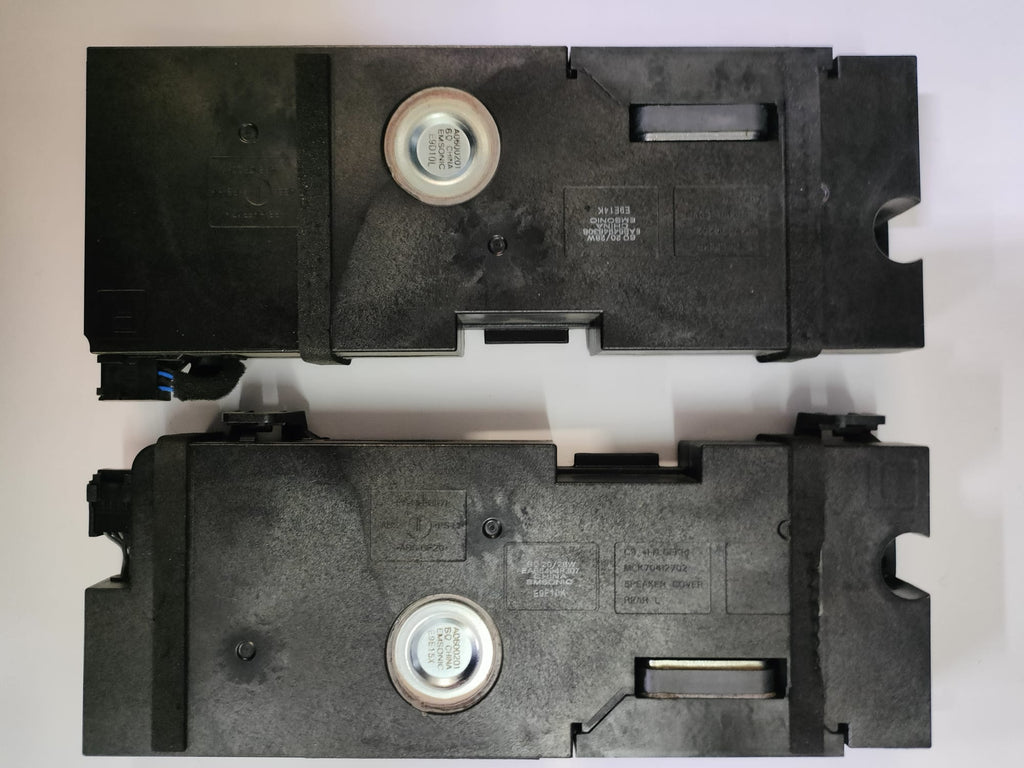 BN96-21667B BN96-21667A ALTOPARLANTI PER TV LG OLED55B9PLA