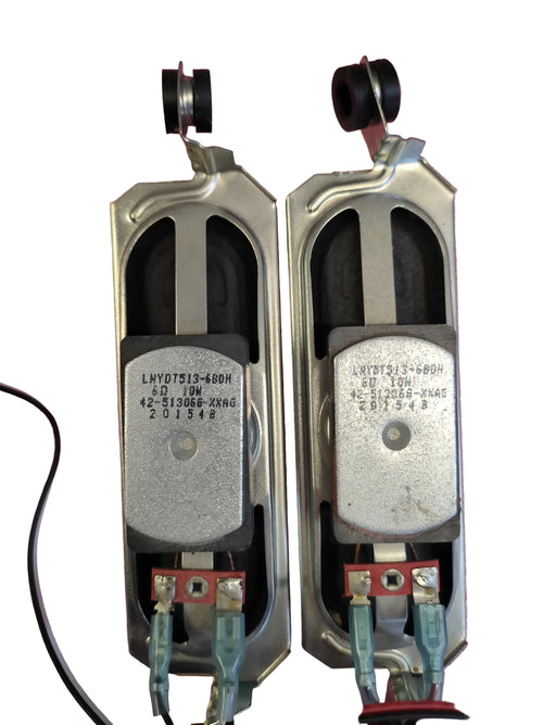 42-513066-XXAG Altoparlanti per TV TCL 32DD420