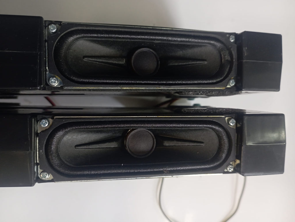 BN98-35008A / BN98-35008B ALTOPARLANTI PER TV UE75TU7170U SAMSUNG